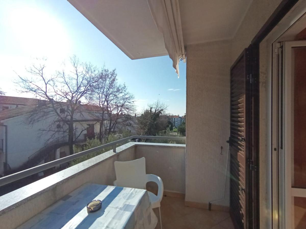 Apartman Jelovac *